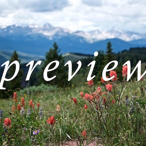 Mountain Wildflower Photo / Colorado Mountain Photography / Red Flower Photo / Digital Download Photography / Colorado Digital Print PNG