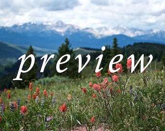 Mountain Wildflower Photo / Colorado Mountain Photography / Red Flower Photo / Digital Download Photography / Colorado Digital Print PNG