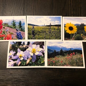 Colorado Wildflowers Grußkarten Set mit Umschlägen - 11.5 x 16.25 Foto Grußkarten - Gefaltete Grußkarten - Blumen-Foto Grußkarten
