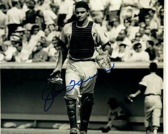 ジョー・トーリのサイン入り 8x10 MLB ニューヨーク・ヤンキース写真 
