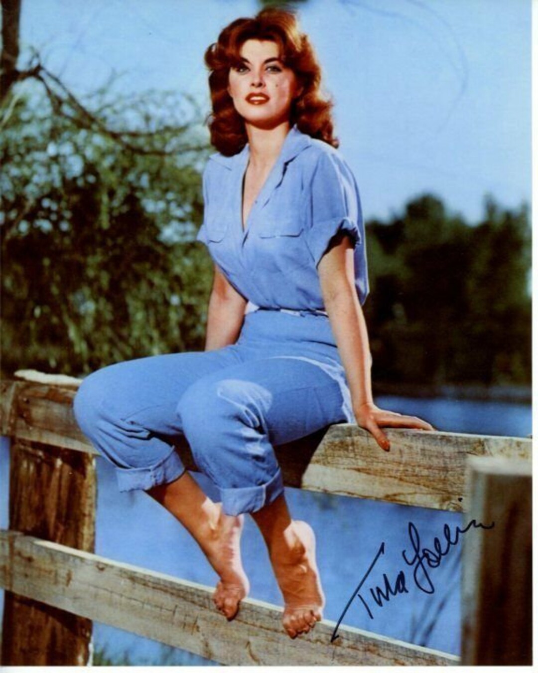 Tina Louise Signed Autographed 8x10 Photo ( Gilligan's Island ) Etsy