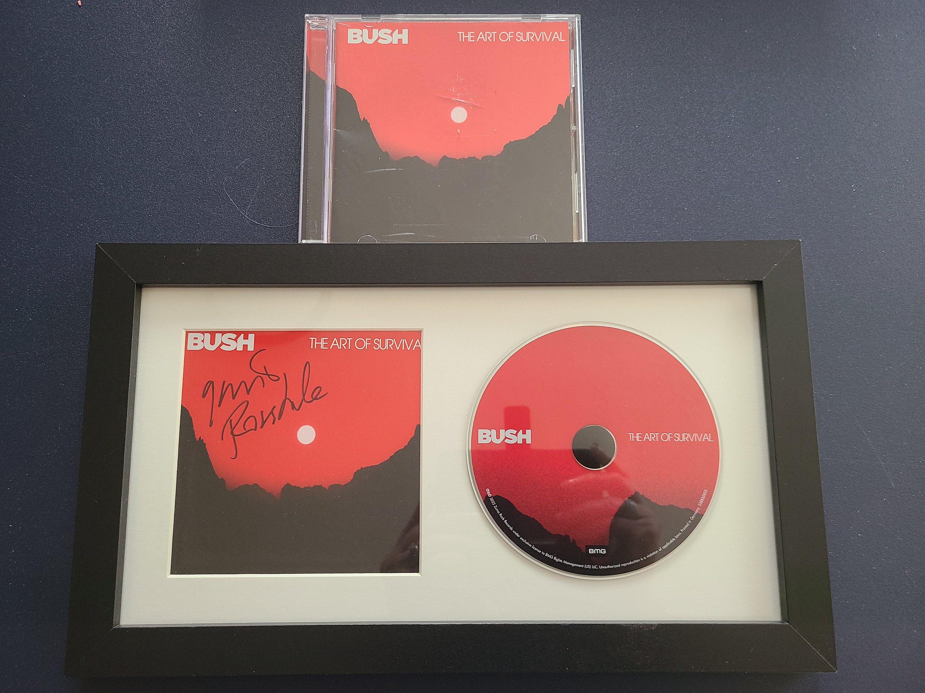 Gavin Rossdale Signed Autographed Bush the Art of Survival Matted