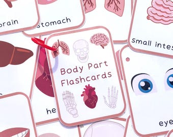 Body Part Flashcards, Children's Human Body Parts Learning, Science Learning, Education, Toddler, Child, Pre-School, School, UKCA Approved
