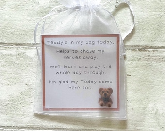 First Day of School Pocket Hug Bear, Children Teddy Bear Gift, Starting School Gift, School Gift for Kids, Back to School, Settling In