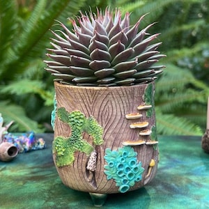 May include: A decorative ceramic planter with a succulent plant. The planter is brown with a wood grain texture and features green and blue mushroom and plant designs. The succulent has dark green and red leaves.