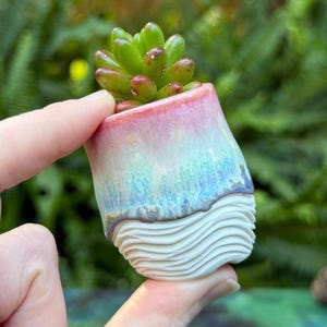 May include: A small ceramic planter with a succulent plant. The planter has a white, wavy base, a blue and green midsection, and a pink and red top. The succulent is green with red tips. The planter is held in a hand.