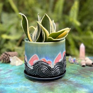 May include: A teal ceramic planter with a black and white wave design and pink accents. The planter is filled with a green and yellow snake plant.