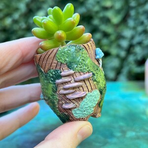 May include: A small succulent plant in a handmade ceramic planter. The planter is decorated with green, brown, and pink details, resembling a miniature forest scene.