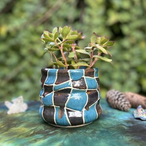 May include: A small succulent plant in a blue and brown ceramic planter with a mosaic design. The planter has a textured, wavy surface.