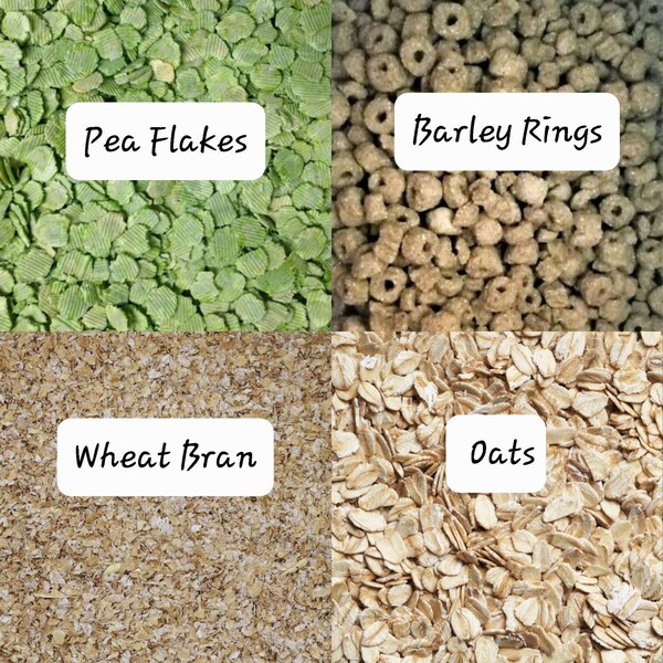 Guinea Pig Stocking - Etsy - How Much Barley For Guinea Pig Per Day