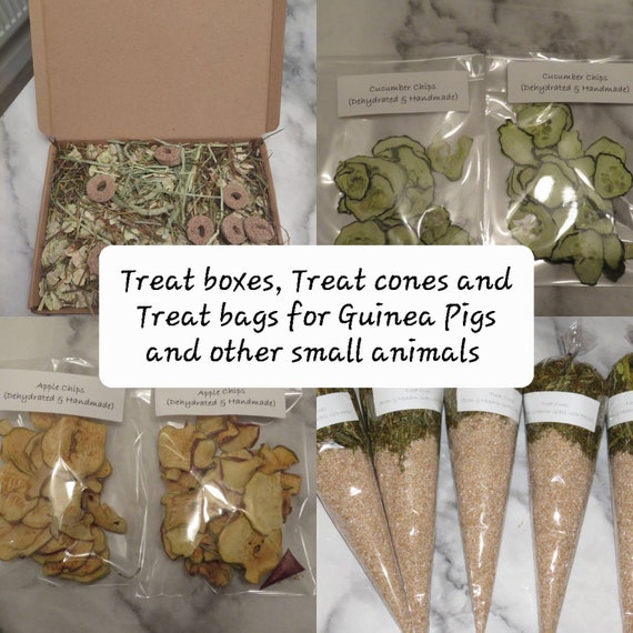 Image showcasing Guinea Pig Treat Cone Treat Bags Treat Box Pet Birthday Pet - Etsy