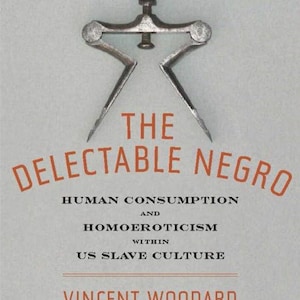 May include: Book cover with the title "THE DELECTABLE NEGRO" in orange letters. The cover features a vintage metal tool with a heart-shaped handle. The book's subtitle reads "HUMAN CONSUMPTION AND HOMOEROTICISM WITHIN US SLAVE CULTURE."