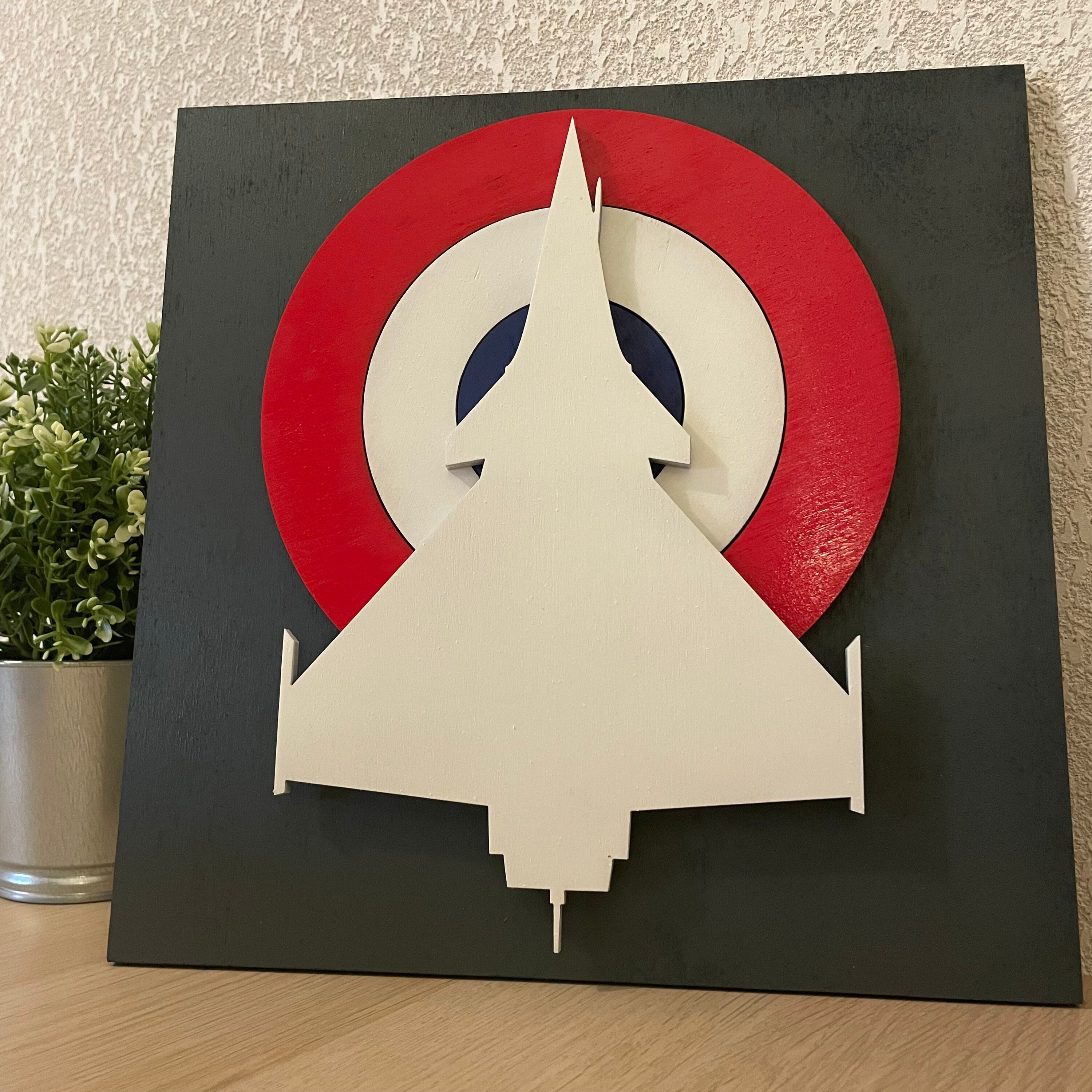 Rafale Cocarde Francaise en 3D