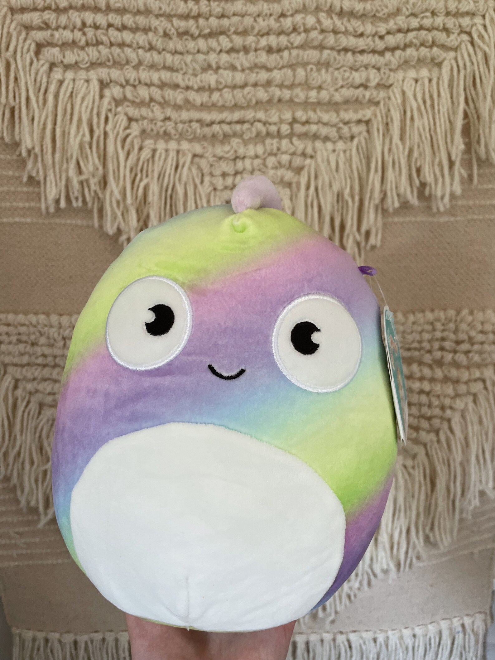 SQUISHMALLOW Honeydew Chameleon 8 Etsy
