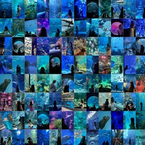 Kit de collage de fotos de vida marina para acuario (100 unidades) / Estética de playa, verano y océano / Criaturas marinas acuáticas / (DESCARGA DIGITAL)