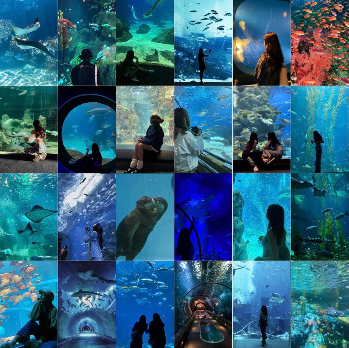 100 PCS | Aquarium Marine Life Photo Collage Kit | Ocean Summer Beach ...