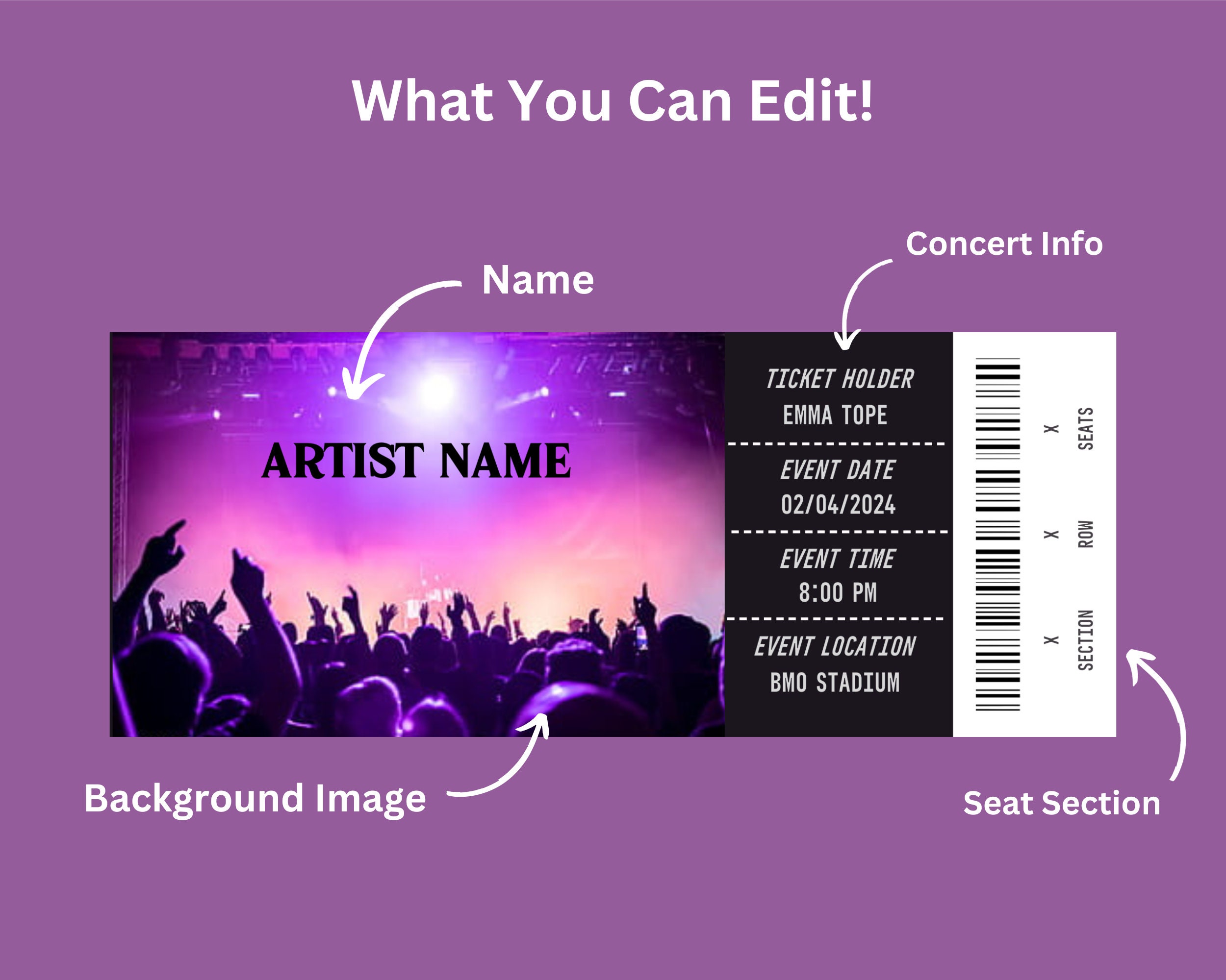 Custom Concert Ticket | Event Ticket Stub | Printable Event Ticket