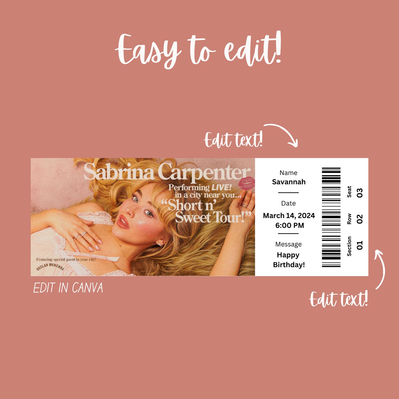 Pop Singer Editable Concert Ticket Canva Template | Customizable ...