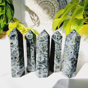 Kambaba Jasper Points | Natural Kambaba Jasper | Healing Kambaba Jasper Towers