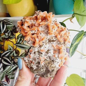 Grappe de spécimens minéraux bruts Heulandite sur matrice, grappe de pierres précieuses en cristal de zéolite naturelle nouveau cadeau pour la maison