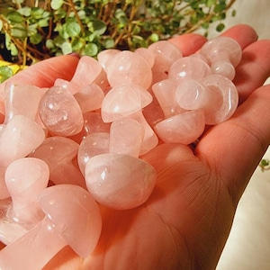 Rose Quartz Mini Mushrooms, Natural Rose Quartz,Carved Crystal Mini Mushrooms
