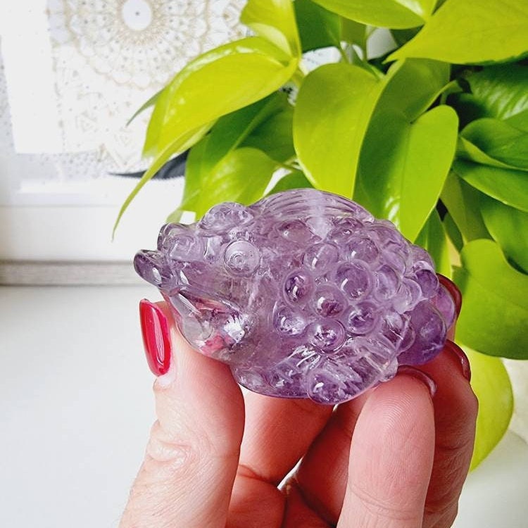 Amethyst Money Toad Crystal Money Toad Feng Shui Money Etsy Hong Kong