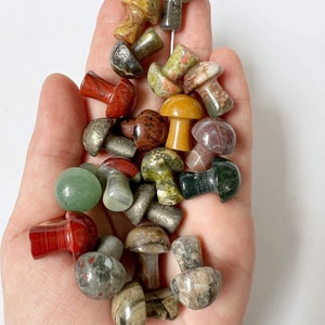 Mystery Mini Crystal Mushrooms | Crystal Carvings | Natural Crystals | Mystery Crystals | Crystal Collection