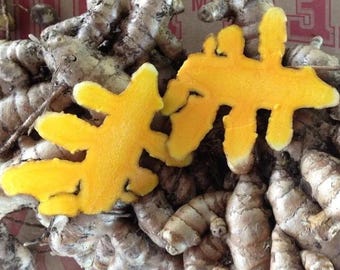 Indira Yellow (Curcuma longa) turmeric live healthy (5) rootstalk rhizome grown and harvested from beautiful Hawaii.