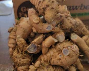 Black turmeric rhizomes (3) total for planting