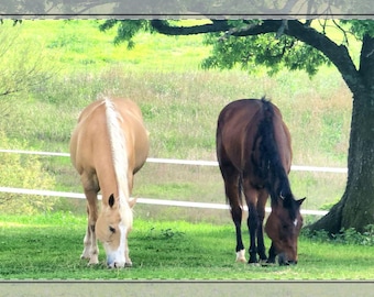 Tappetino da scrivania con bordo cucito "Beloved Horses"
