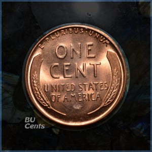 May include: A close-up of a copper-colored United States one-cent coin. The coin features the words "ONE CENT" in the center, with "UNITED STATES OF AMERICA" below. The coin is surrounded by the words "E PLURIBUS UNUM" and wheat stalks.
