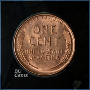 May include: Close-up of a copper United States one-cent coin. The coin features the words "ONE CENT" in the center, with "UNITED STATES OF AMERICA" below. The coin is framed by the words "E PLURIBUS UNUM" and wheat stalks.