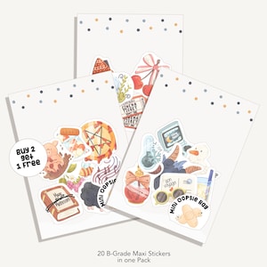 Mini Oopsie Sticker Bag | 20 different Maxi Sticker - B Grade Sticker - Sticker - Bullet Journal Sticker - Grab Bag - Jumbo Sticker