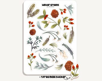 Klistermärkesark med vintergröna | Klistermärken med vinterväxter | Bullet Journal - Scrapbook - Planner - Dekoration - Natur - Skog