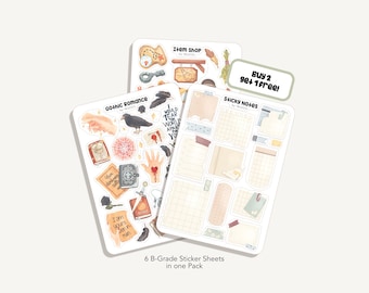 Bolsa de pegatinas Oopsie | 5 hojas de pegatinas diferentes - Pegatinas de grado B - Hojas de pegatinas - Pegatinas - Pegatinas para Bullet Journal - Hoja de pegatinas