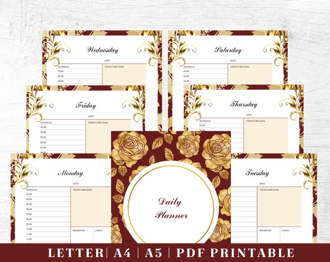 Productivity Planner Printable | Daily Organization Planner | Digital Download | US Letter, A4, A5 Journal Template | PDF