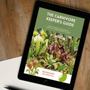 May include: A digital tablet displays "The Carnivore Keeper's Guide" with text "Your Complete Beginner's Guide to Carnivorous Plants." The image features various carnivorous plants, including pitcher plants and Venus flytraps. The author's name and website are also visible.