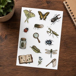 Puede incluir: Una hoja de pegatinas con varias ilustraciones que incluyen una polilla luna, una mariposa cola de golondrina, un escarabajo ciervo, una mariquita, una cigarra, una mantis religiosa, una lupa, un escarabajo en un frasco, una oruga en una hoja, un escarabajo pelotero, una libélula, un libro abierto, una flor y una red.