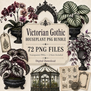 Houseplant PNG Clipart Bundle, Victorian Gothic Botanical Plants, Transparent Plant Graphics, Frames & Greenhouse Art