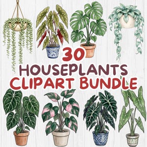 Houseplant Clip Art Bundle – 30 Botanical PNGs – Watercolor Plant Illustrations – Indoor Plant Graphics for Stickers, Planners & Cricut