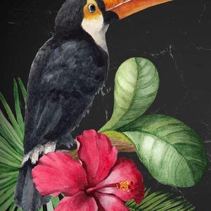 SALE Mint by Michelle Decoupage Paper: Toucan