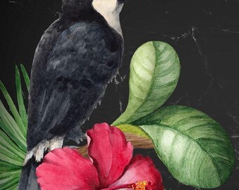SALE Mint by Michelle Decoupage Paper: Toucan