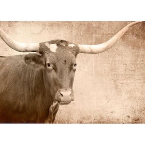 Mint by Michelle Decoupage Paper: Texas Longhorn