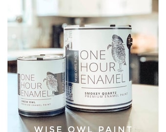 FAST  SHIPPING Wise Owl One Hour Enamel Paint: Quart
