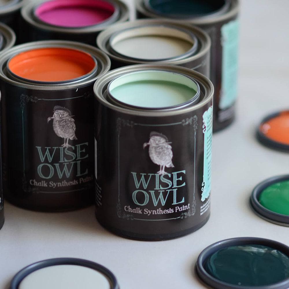 FAST  SHIPPING - Wise Owl Chalk Synthesis Paint