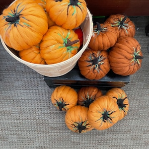 Large Pumpkins