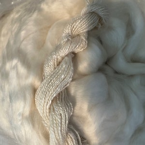 May include: A large bundle of white wool roving with a strand of white yarn woven through it.