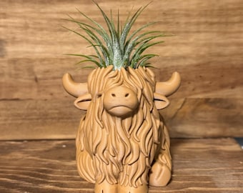 Highland Cow Air Plant Holder | Home Decor | Cute Plant | Cute Desk Decor | Work Decor | Christmas Gift | Air Plant | Co Worker Holiday Gift