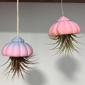 3D Printed Jellyfish Air Plant Holder: Hanging Planter