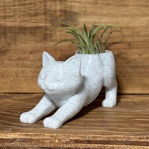 air plant gift
coworker gift
desk plant decor
3d printed planter
cat desk decor
small plant holder
funny plant gift
cat tail planter
plant gift for her

cat lover gift
Christmas gift for coworker
cat mom gift
stocking stuffer for her
cute office decor
Air plant holder
airplant
deck decor
cat decor